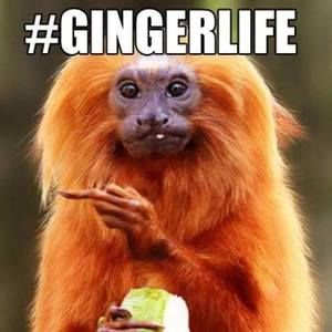 Meet your Posher, Charles